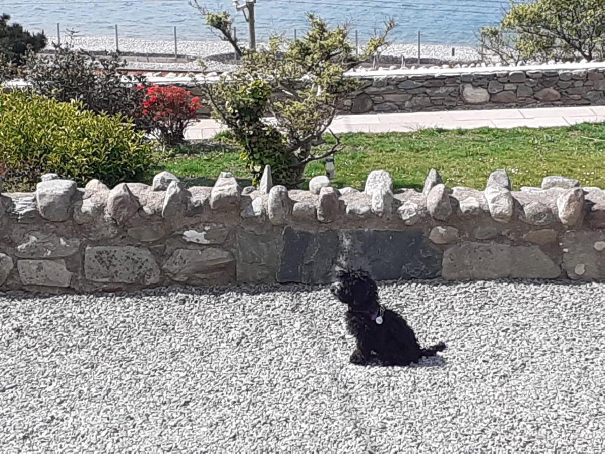 Talarfor Holiday home